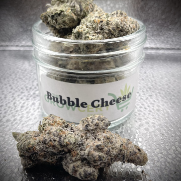 Bubble Cheese