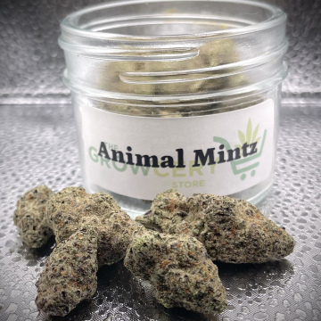 Animal Mints